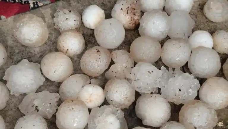 Şanlıurfa'da Kar Topu Büyüklüğünde Dolu Yağışı Şehirde Şok Etkisi Yarattı!