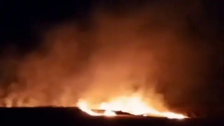 Tekirdağ’da 20 Dekar Buğday Alanı Yangında Küle Döndü
