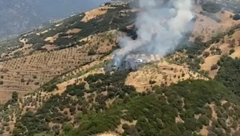 Aydın'da Zeytinlik Yangını, Tarım Arazileri Tehdit Altında!