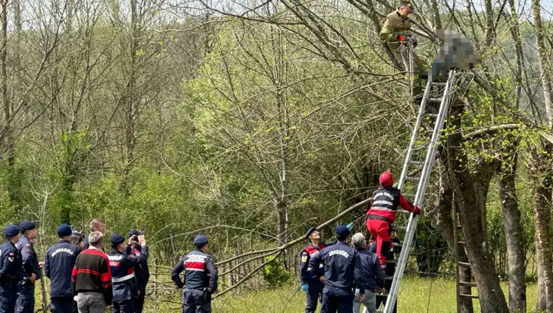 Ağaç Budarken Kalp Krizi Geçiren Kişi Hayatını Kaybetti