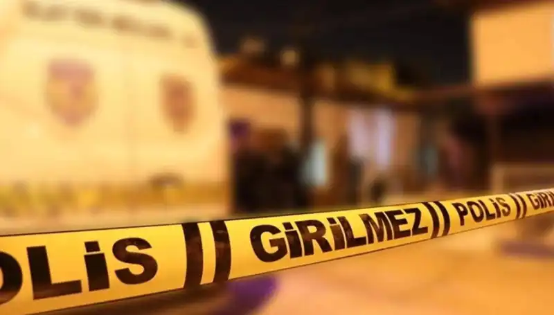 Diyarbakır'da Kayınpeder Dehşetinin Ardındaki Nedenler ve Etkileri