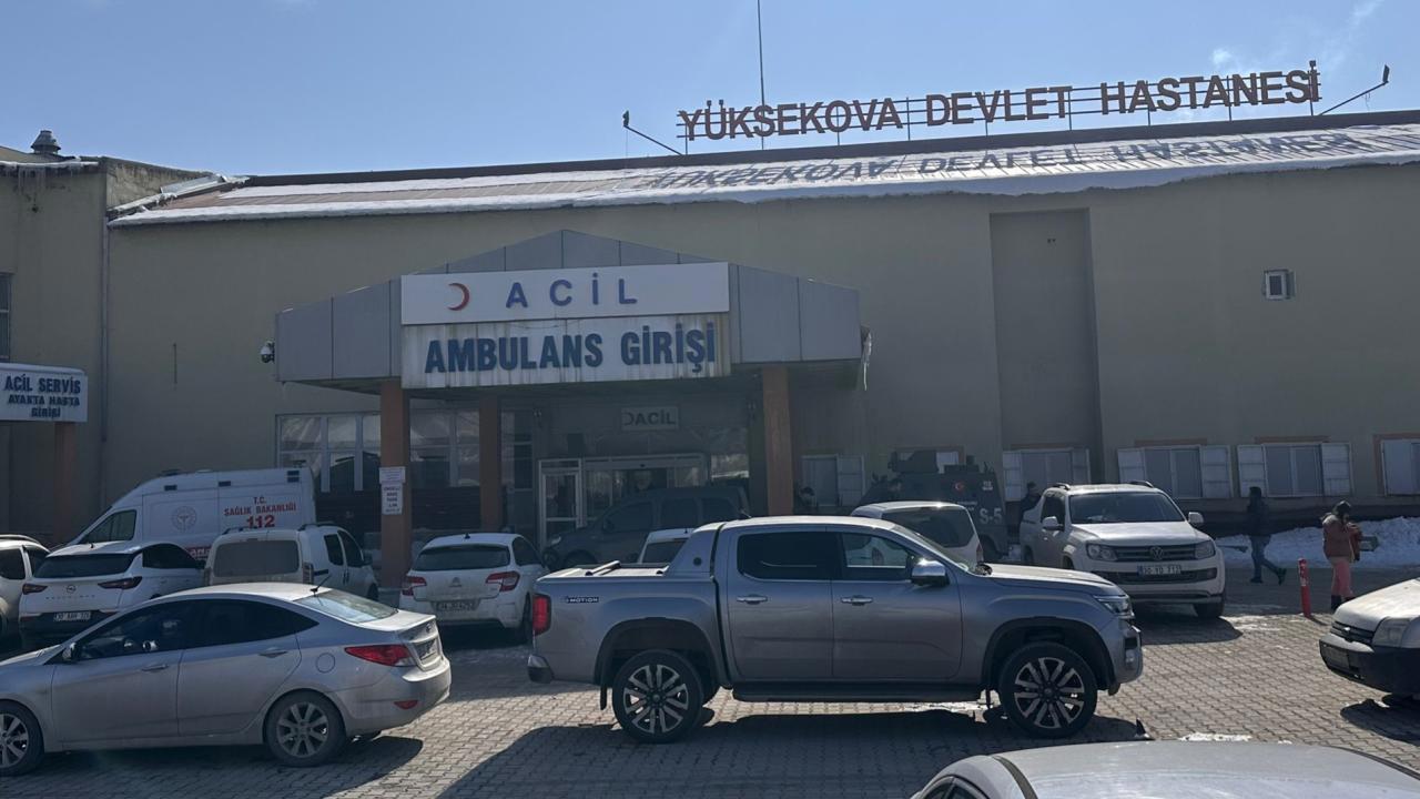 Hakkari'de Saldırgan Köpeklerin Hedefi Olan Çocuğun Sonu