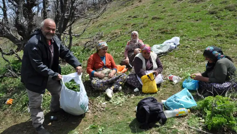 Kilosu 250 Lira! Efsane Besin İçin 5 Saat Yürüyüş Yapıyorlar