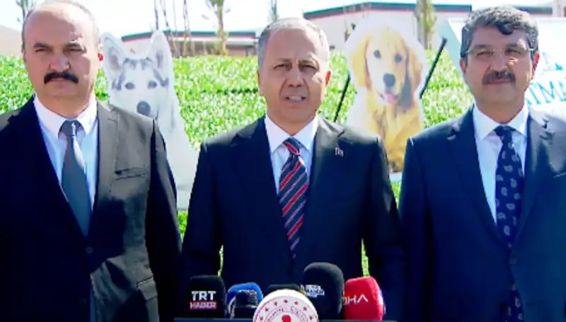 Türkiye’de Sokak Köpekleri Tartışması: İçişleri Bakanlığı'ndan Müfettiş Gönderimi