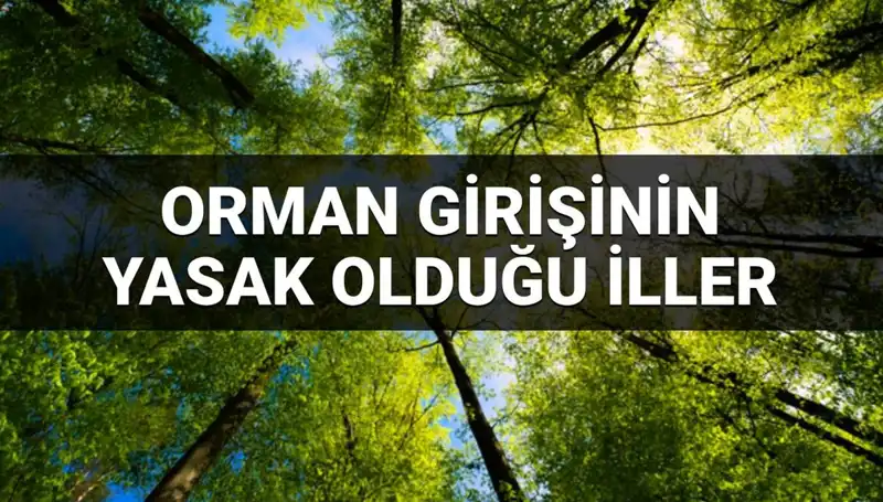 2025'te Ormanya Girişine Yasaklanan İller Hangileri? Detaylar Burada!