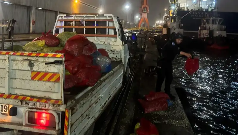 Kaçak Midyelerde Yeni Gelişme: El Koyma Operasyonu Hız Kazandı