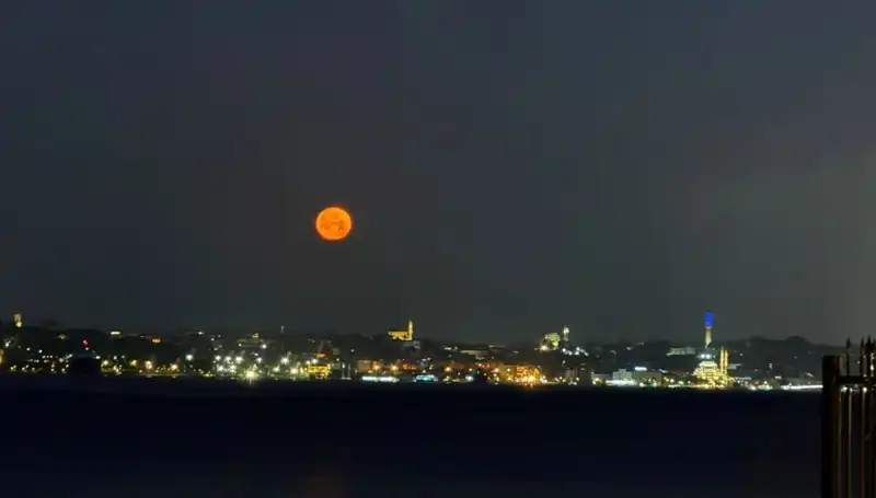 İstanbul'da Çilek Dolunayı ile Doğa Sanat Galerisi Açıldı