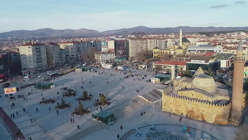 Kırşehir’de Bilim Dünyasını Şaşırtan Yeni Böcek Türü Keşfedildi!