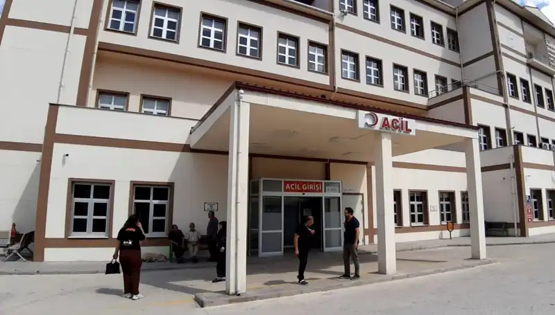 Bolu’da Kontrolsüz Ayı Nüfusuna Çözüm: Av İzni Kararı Alındı
