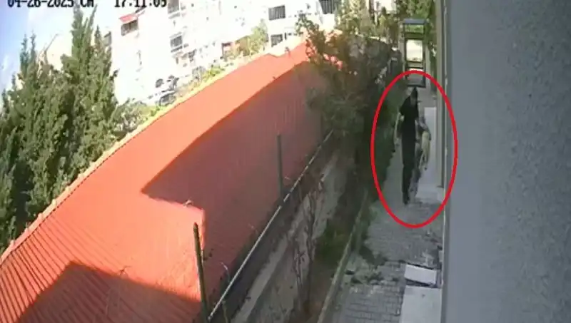 Hayvansever Doktorun Korkunç İtirafı: Sahiplendiği Köpekleri Evde Öldürdü