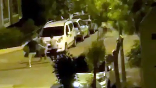 Avcılar'da 3 Kişinin Saldırdığı Vatandaş Kurtarıldı: Olayın Detayları Şaşırtıyor