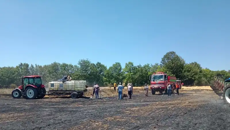 Yangın, Buğday Tarlasında 10 Dönüm Alanı Kül Etti: İlgili Kurumlar Olayda Etkili Mi?