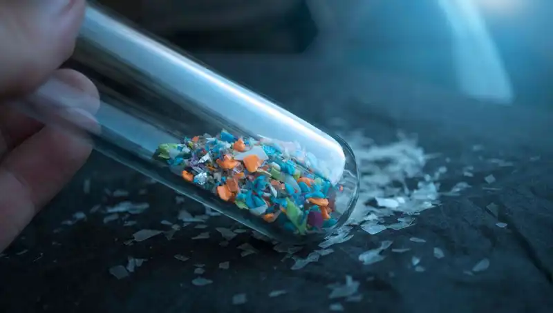 Mikroplastikler İnsan Beynine Kadar Ulaştı: Sağlığımızı Tehdit Eden Gerçekler