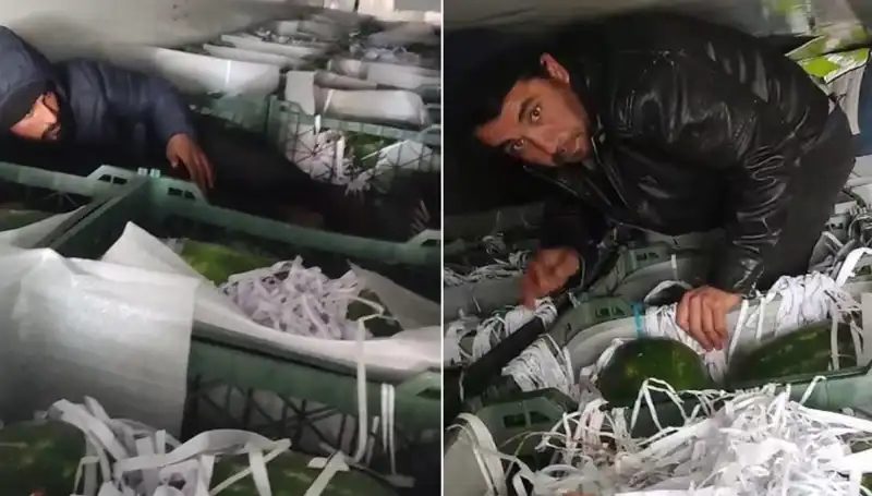 Karpuzlar Arasında Saklanan Göçmenler: Sınırda Şaşkınlık Yaratan Olay