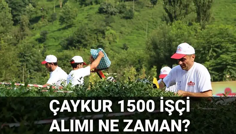 Çaykur İşçi Alımı Başvuru Tarihleri ve Süreci Hakkında Her Şey