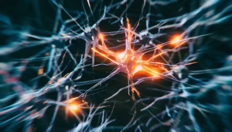 Alzheimer Vakalarındaki Artışın Ardında Yatan Nedenler Neler?