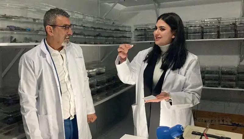 Akrep Zehrini Şekere Damlatıp Tüketenlerin Gizemi Çözüldü!
