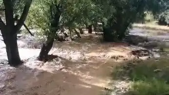 Mersin'de Etkili Sağanak Yağış: Sele Dönüşen Felaket!