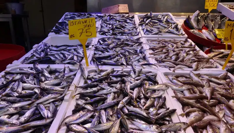 Balık Sezonu Kapanıyor: Tutkukla Beklenen Zaman Geldi mi?