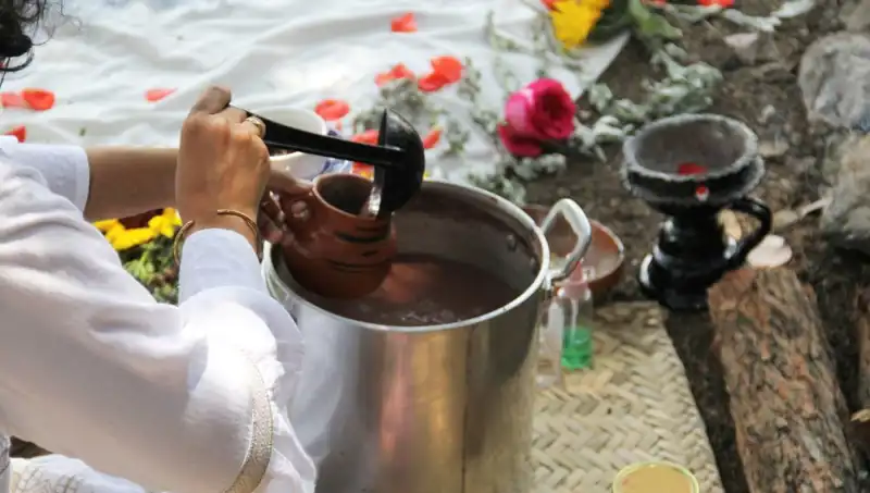 Ayahuasca: Doğanın Şifası mı, Yasaklı Bir İlaç mı?