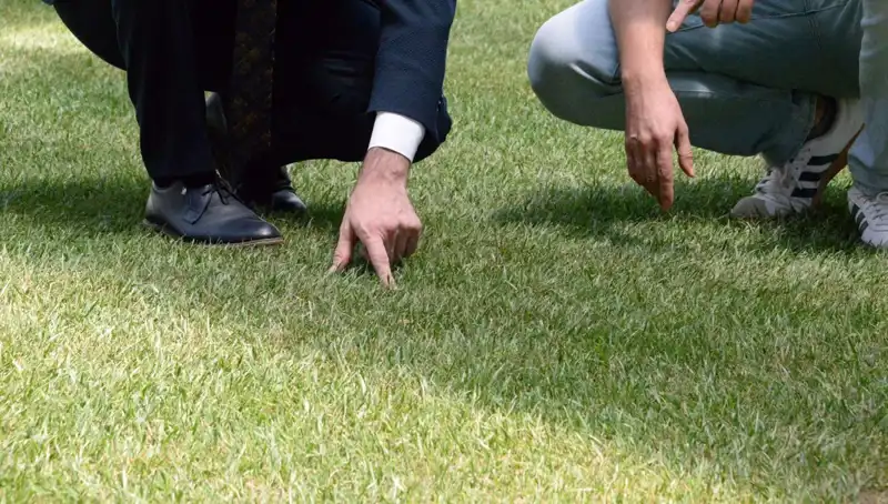 Kinic'deki Tartışmalı Stadyum Zemini: Son Durum ve Beklenen Gelişmeler