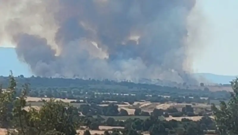 Edirne'de Komşu Orman Yangını, Şehirde Korku ve Paniğe Yol Açtı