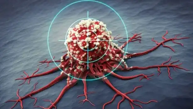 Prostat Kanseriyle Mücadelede Etkili Altı Besin: Bilimsel Kanıtlar Ortaya Çıktı