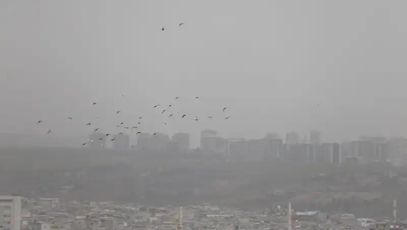 Şanlıurfa’nın Üzerine Çöken Aşırı Tozdan Gelen Tehlike: Göz Görmüyor!
