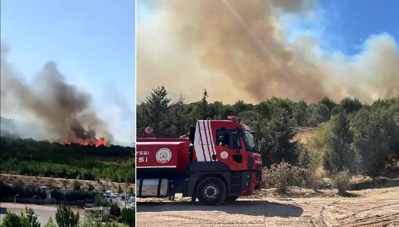 Gebze'de Korkutan Orman Yangını: Bölge Halkı Tedbir Almaya Başladı