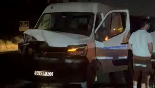 İstanbul'da Manda Kazası: Üç Kişi Yaralandı, Olayın Perde Arkası