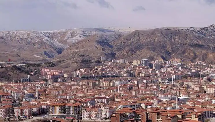 Çankırı'da 40 Hektar Ormanlık Alanı Tehdit Eden Yangın: Neden ve Sonuçlar