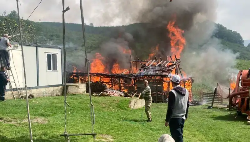 Akçakoca'da Dehşet: Samanlık Alev Alev Yandı, Korkutan Manzara!