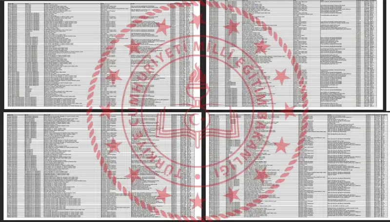 2025 Lise Taban Puanları Açıklandı: Hangi Puanla Hangi Okula Girebilirsiniz?