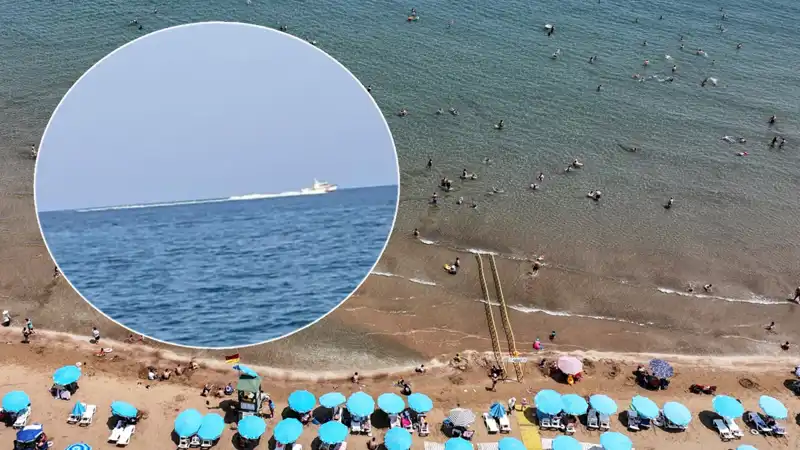 Plajda Köpek Balığı Korkusu: Kısa Süreli Panik ve Sonrasında Gelen Gerçek