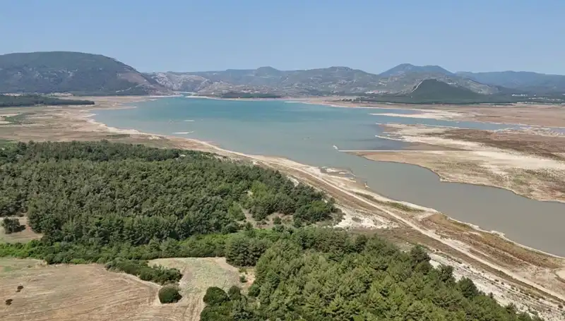 İzmir'de Tehlike Çanları: Bir Yılda Yüzde 50 Düşüş Gerçekleşti
