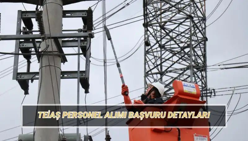 TEİAŞ Personel Alımı: 2023’te İşçi İhtiyacı ve Başvuru Süreci
