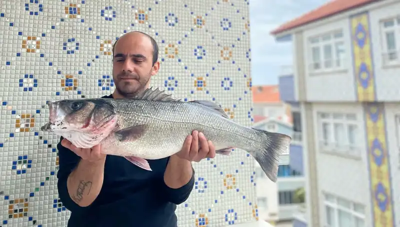 7,5 Kiloluk Devi Avlamak: Denizlerdeki Büyüleyici Levrek Macerası