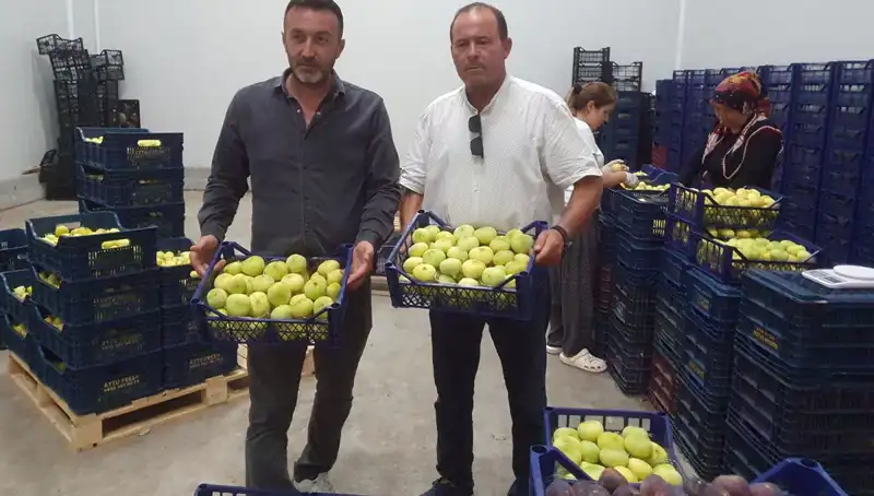 Mersinli Çiftçilerin Yüzünü Güldüren Tarımsal Ürün: 20 TL'den İhraç!
