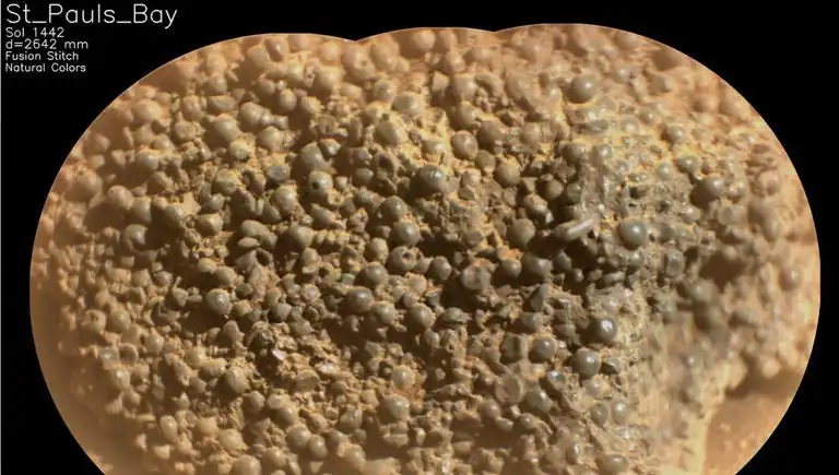 Mars’ta Gizemli Keşif: Örümcek Yumurtaları mı Bulundu?