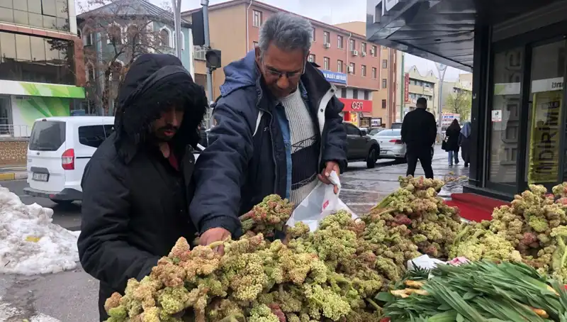 Kendiliğinden Yetişen Şifa Kaynağı: Kanserle Mücadelede Yeni Umut Olarak Gözde!