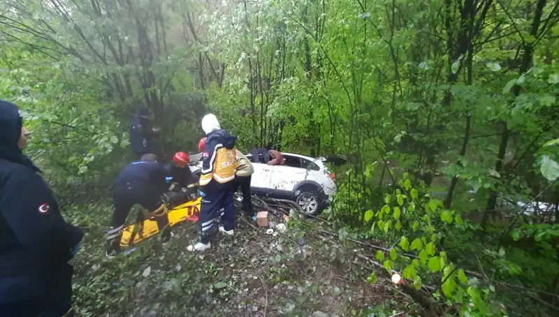 Direksiyon Hakimiyeti Kayboldu: Ormanda Korkunç Kaza ve Sonuçları