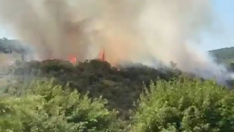 İstanbul’da Orman Yangını Panik Yarattı: Vatandaşlar Zorunlu Olarak Tahliye Edildi
