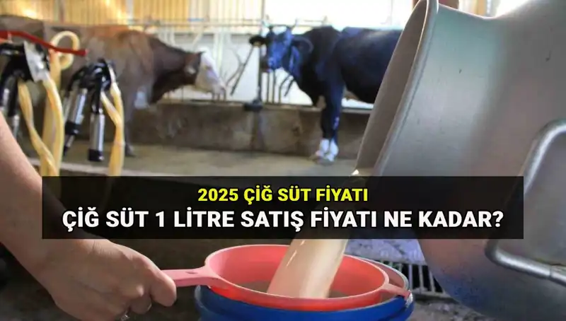 Çiğ Süt Fiyatları 2025'te Ne Olacak? İşte Son Gelişmeler!
