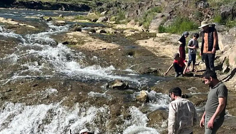 İnci Kefalinin Muhteşem Göçü: Doğanın En Büyüleyici Yolculuğu